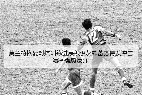 莫兰特恢复对抗训练进展积极灰熊蓄势待发冲击赛季强势反弹